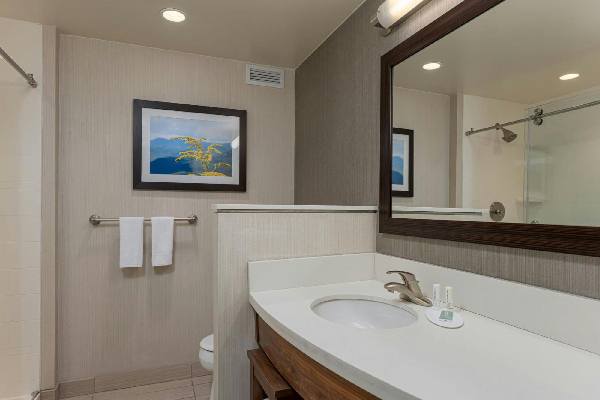 Courtyard By Marriott Asheville Airport Letcher megye Kültér fotó